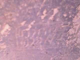 الشرعي ضركام14